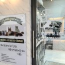 브룩스 캣 카페 이미지