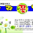 꽃방카라 이미지