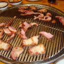 권호농장 Daum카페