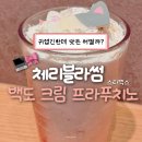 달달한 고양이 | 스타벅스 체리블라썸 백도 프라푸치노 고양이 내돈내산 솔직후기 (칼로리,가격,벤티)