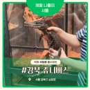 쥬니버스 | 서울 아이랑 가볼만한곳 강북 쥬니버스 후기 악어 체험부터 카멜레온, 도마뱀까지 직접 만져본 체험형...
