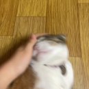 [일상] 구로 라비앙로즈 네일앤헤어/ 가리봉동 생선구이 고흥집/ 올리브영 세일기간 쿠폰