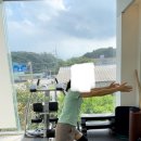 유엘피티 이미지