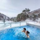 원스파인 이미지