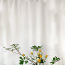 플라워 디자인_꽃꽂이 이미지