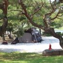 숲속에 안뜰 이미지