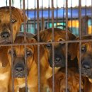 무리개농장 이미지