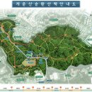 개운산계곡 옹달샘 이미지