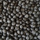 청자농장 이미지