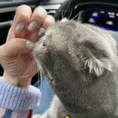 네일이야기 이미지