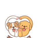 공감애견학교 이미지