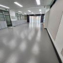 라이온태권도 이미지