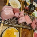 수원참치