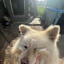 수현2농장 이미지