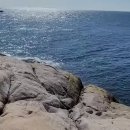 정상메디칼 이미지