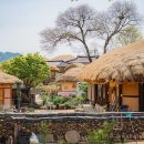 5월 안동 가볼 만한 곳, 경북 여행 코스 추천 :: 안동 하회마을, 낙강물길공원, 안동구시장 이미지