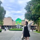 코뿔소카서비스 | 푸꾸옥 여행 모닝투어 그랜드월드 사파리 빈원더스 빈펄사파리 후기