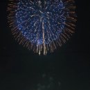 지하철 1호선 | [불꽃축제] 지하철 1호선 타고 운 좋게 불꽃축제 본 후기 🎆