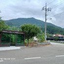 전천회관 Daum카페