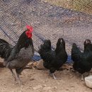 청계슈퍼 이미지