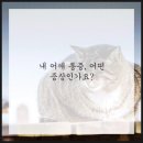 영통단단마디의원 이미지