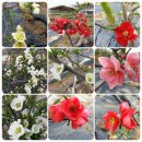 명자농장 이미지