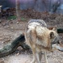 오-월드 이미지