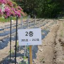 맑은마음병원 이미지