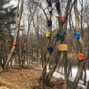 홍천산양목장 이미지