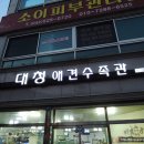 대청애견수족관 | 대전 수족관 피노키오 새우 입양 대청애견수족관