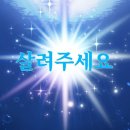 호계사거리_하 | 하나영상의학과 나팔관 조영술 후기