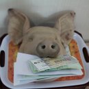 제곡리경로당 이미지