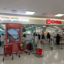 롯데쇼핑(주)롯데마트서대전점 | 롯데마트 서대전점 [롯데쇼핑과 다이소의 콜라보, 대전 유성구 원내동]