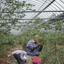 박희정농장 이미지