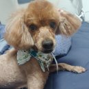 몽개몽개 이미지