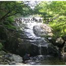 홍연폭포 Daum카페