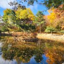 하나종묘 이미지