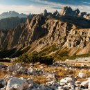 마음편한병원 | 청주 탈모병원 보다 마음 편한 곳