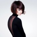 헤어컬렉션 이미지