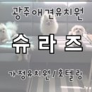 슈라즈하우스 이미지