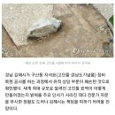 문화재청 "김해 고인돌 상당 부분 훼손 확인…김해시장 고발 이미지