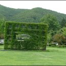 영동황간로1 이미지