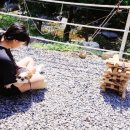 또와캠핑장 이미지