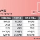 버블 이미지