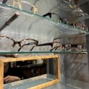 백산안경점(서울) 이미지