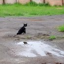 심곡정미소 이미지