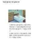 오사카분식 이미지