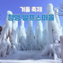 삼육영농조합법인 2농장 | 충남 청양 가볼만한 곳 2026 알프스마을 얼음축제 눈썰매장 생생한 후기