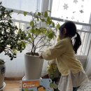 책 놀이터에서 쑥쑥자라요 이미지