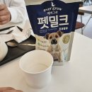 코코애견클럽 이미지